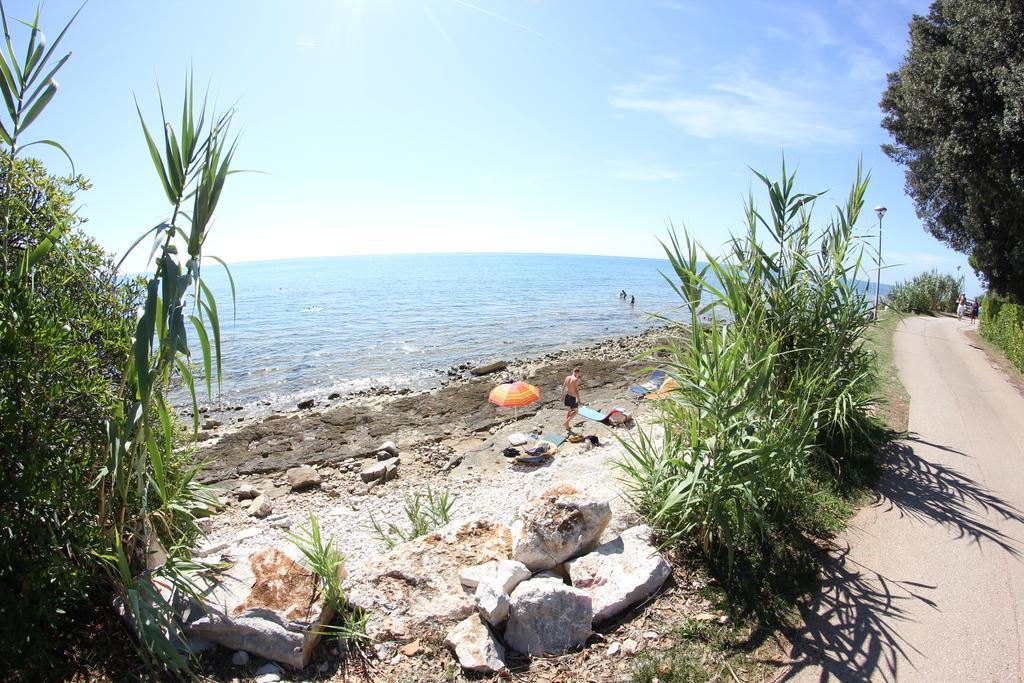 Guest house Badi Lovrecica (Istria)